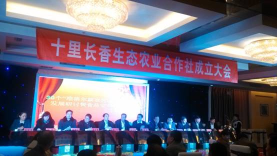 走過(guò)十里長(zhǎng)川，拉開(kāi)“十里長(zhǎng)香”品牌的序幕
