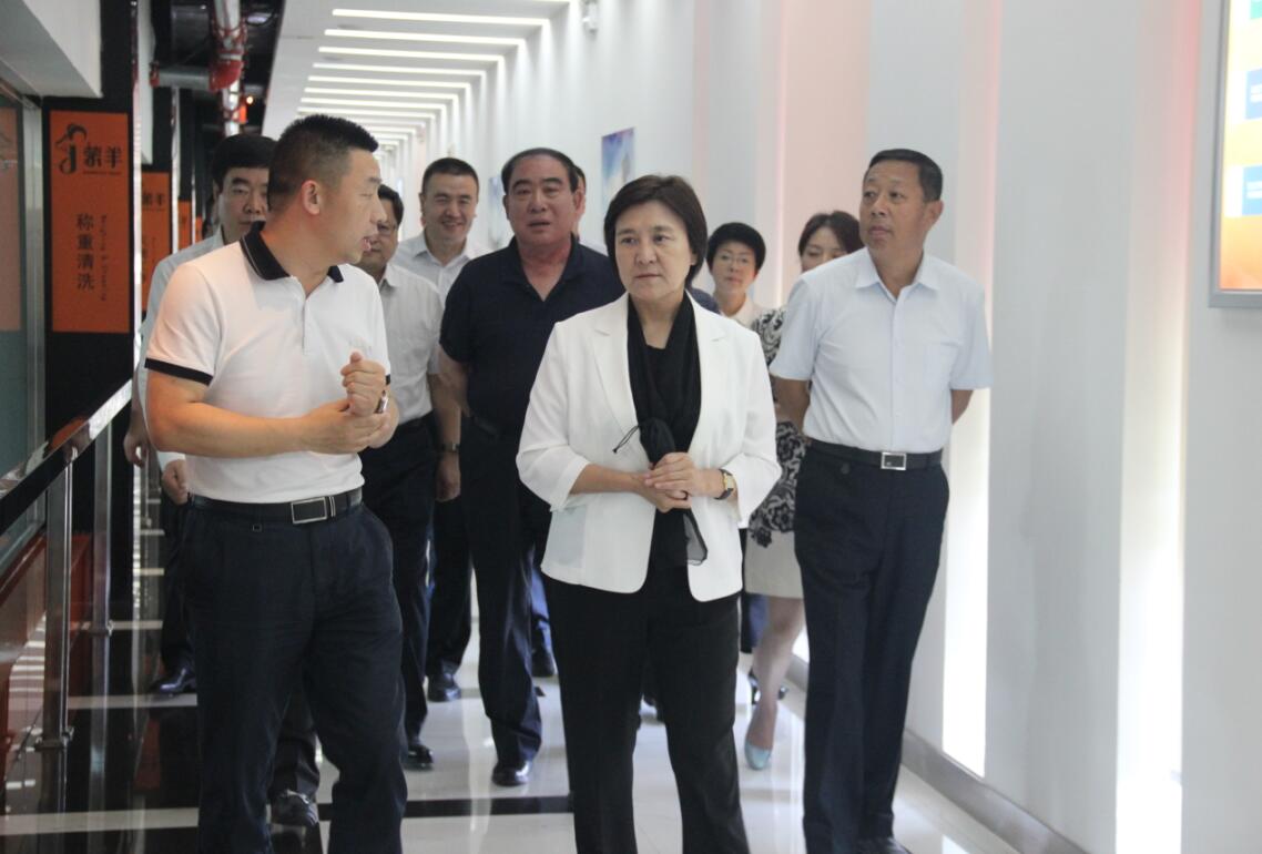 自治區(qū)黨委副書記、自治區(qū)主席布小林蒞臨協(xié)會會長單位——蒙羊牧業(yè)公司視察調(diào)研