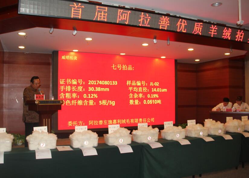 創(chuàng)新引領(lǐng)未來，品質(zhì)鑄就輝煌 首屆阿拉善優(yōu)質(zhì)羊絨拍賣會盛大舉行