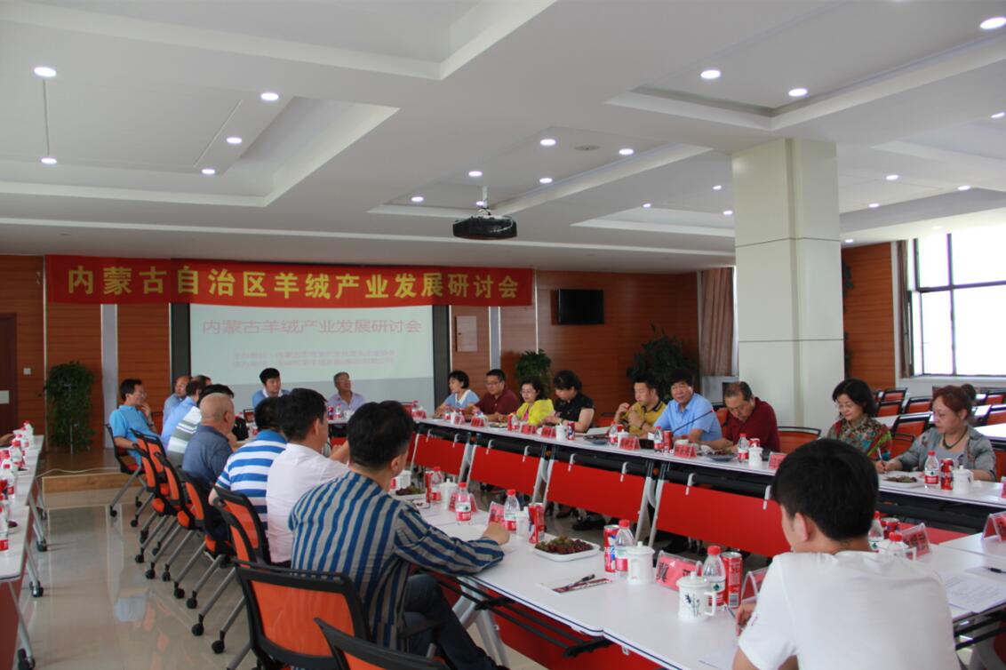 齊心協(xié)力，共謀內(nèi)蒙古羊絨產(chǎn)業(yè)發(fā)展新思路